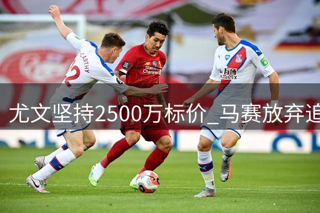 尤文坚持2500万标价 马赛放弃追逐加蒂